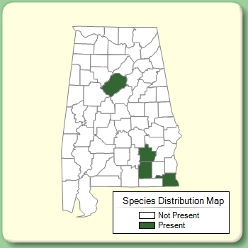 Species Distribution Map