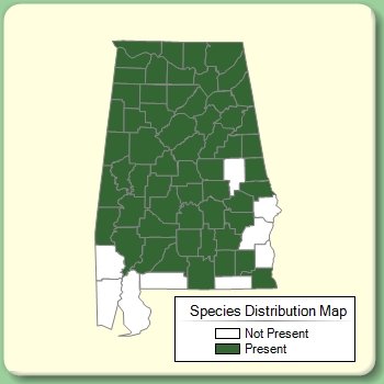 Species Distribution Map