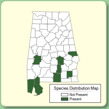 Species Distribution Map