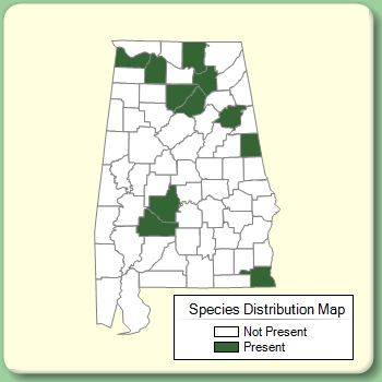 Species Distribution Map