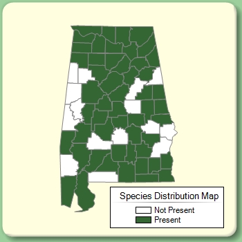 Species Distribution Map