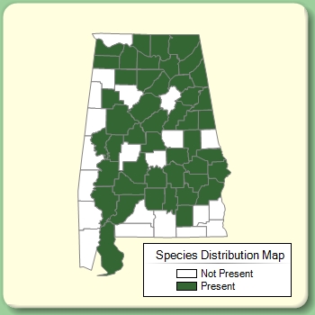 Species Distribution Map