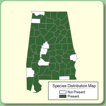 Species Distribution Map