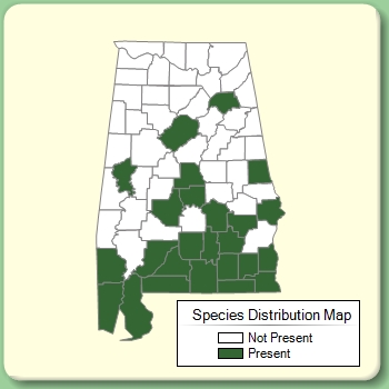 Species Distribution Map