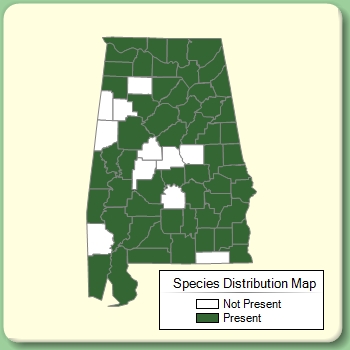 Species Distribution Map