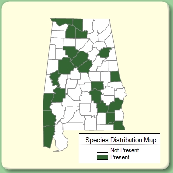 Species Distribution Map