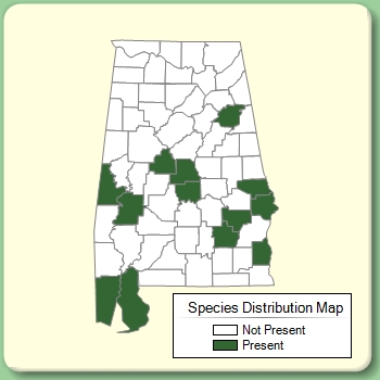 Species Distribution Map