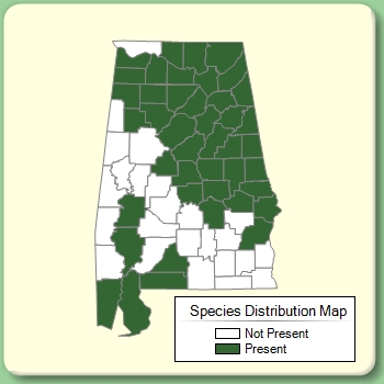 Species Distribution Map