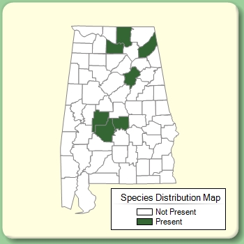 Species Distribution Map