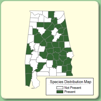 Species Distribution Map