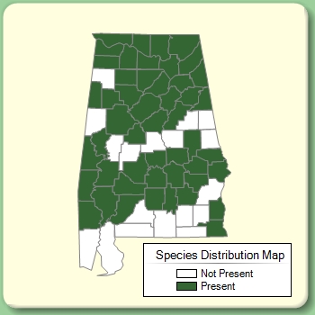 Species Distribution Map