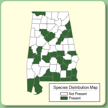 Species Distribution Map