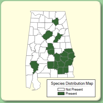 Species Distribution Map