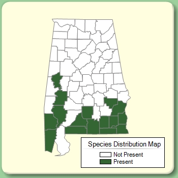 Species Distribution Map