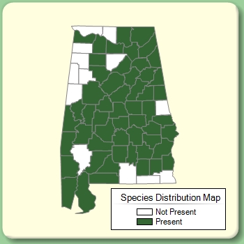 Species Distribution Map