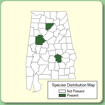 Species Distribution Map