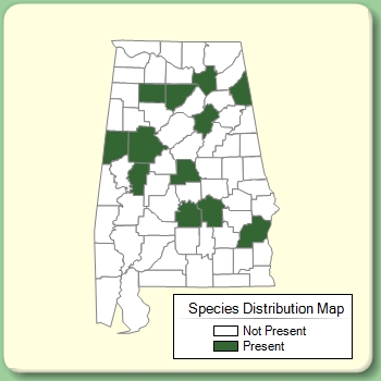 Species Distribution Map