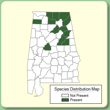 Species Distribution Map