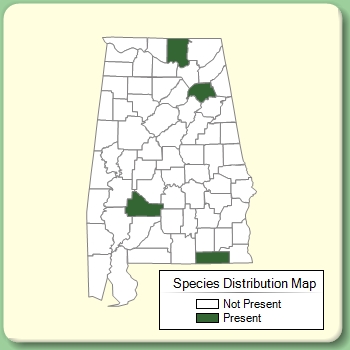 Species Distribution Map