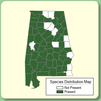 Species Distribution Map