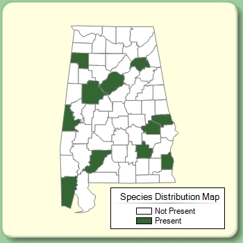 Species Distribution Map