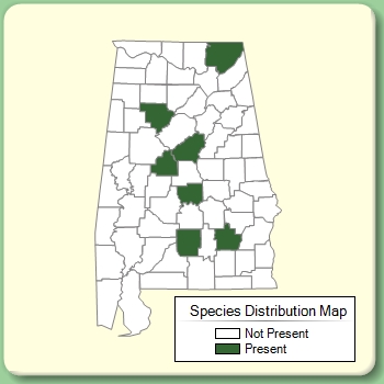 Species Distribution Map