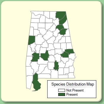 Species Distribution Map