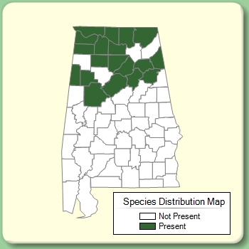 Species Distribution Map