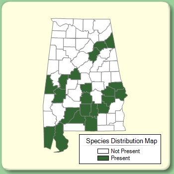 Species Distribution Map