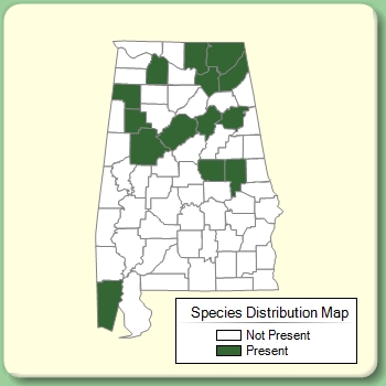 Species Distribution Map