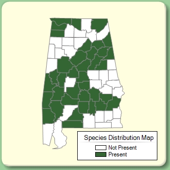 Species Distribution Map