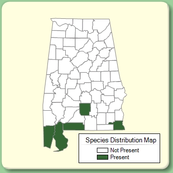 Species Distribution Map