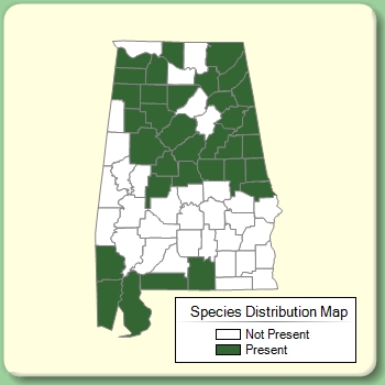 Species Distribution Map