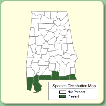 Species Distribution Map