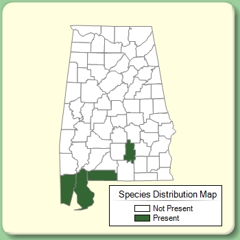 Species Distribution Map