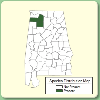 Species Distribution Map