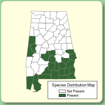 Species Distribution Map