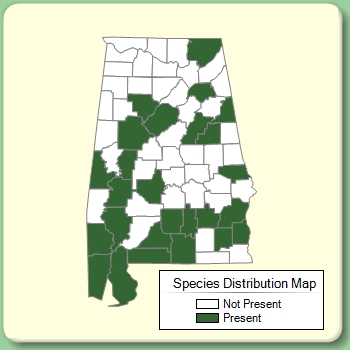 Species Distribution Map