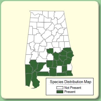 Species Distribution Map