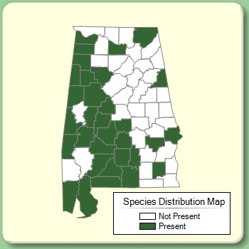 Species Distribution Map