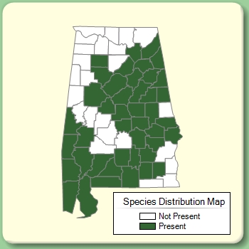 Species Distribution Map