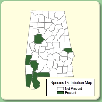 Species Distribution Map