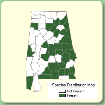 Species Distribution Map