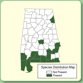 Species Distribution Map