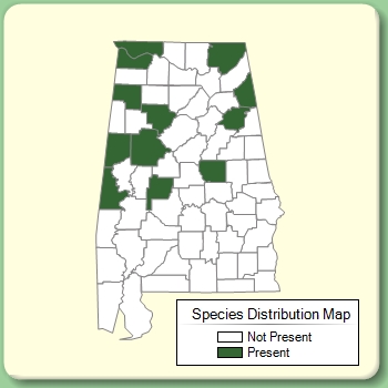 Species Distribution Map