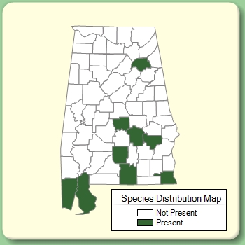 Species Distribution Map