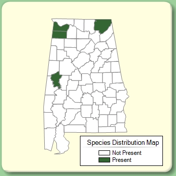 Species Distribution Map