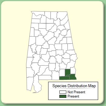 Species Distribution Map