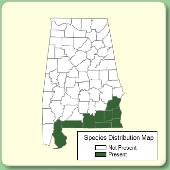 Species Distribution Map