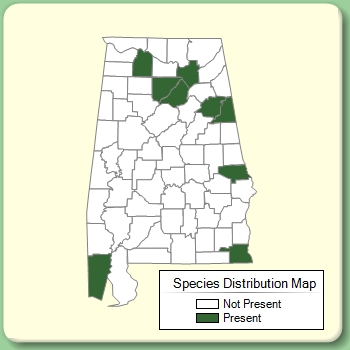 Species Distribution Map